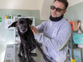 Con 115 euro ci aiuti a sostenere i costi di interventi chirurgici salva vita per un animale malato o incidentato