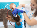 Con 58 euro ci aiuti a sostenere i costi di esami diagnostici come tac e risonanze magnetiche